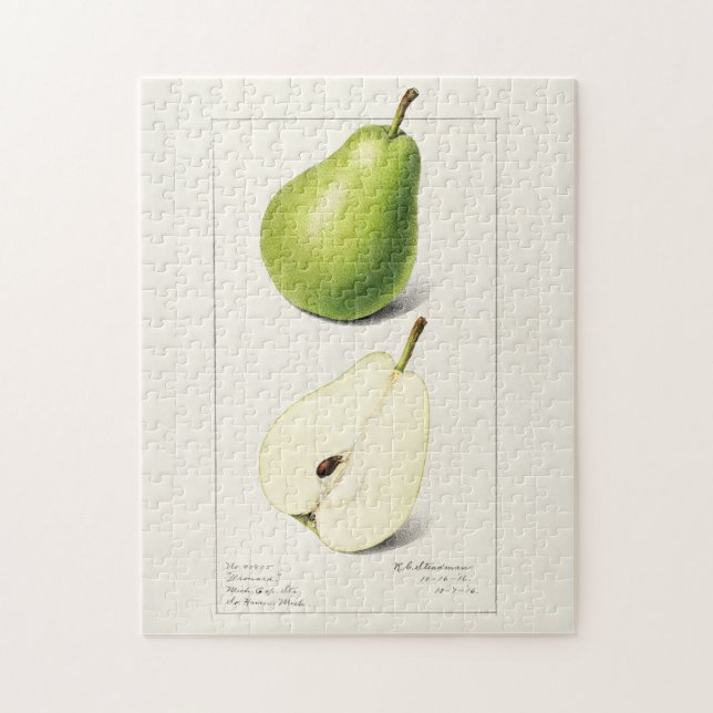 Quebra-cabeça Pera (Pyrus Communis) Fruta Moleração de Aquarelas (Vertical)