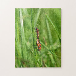 Quebra-cabeça Percevejos de fogo na natureza verde