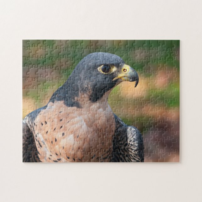Quebra-cabeça Peregrine Falcon (Horizontal)