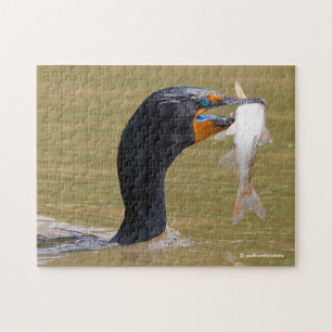 Quebra-cabeça Perfil de um Adulto Cormorante Duplo-Deprimido
