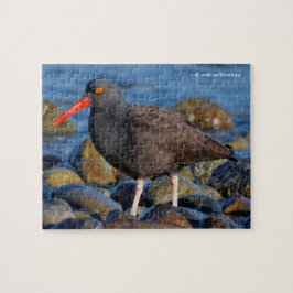 Quebra-cabeça Perfil de um Oystercatcher Preto