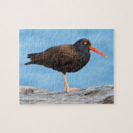 Quebra-cabeça Perfil de um Oystercatcher Preto
