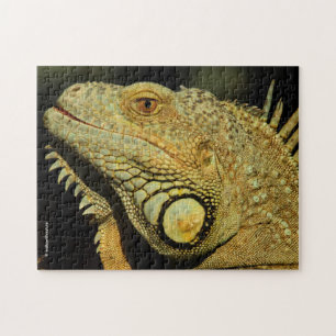 Quebra-cabeça Perfil de uma Iguana Verde