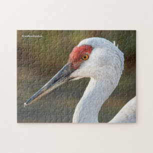 Quebra-cabeça Perfil Elegante de uma grua Sandhill Maior