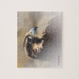 Quebra-cabeça Perfil Vignetado de um Falcão Peregrino