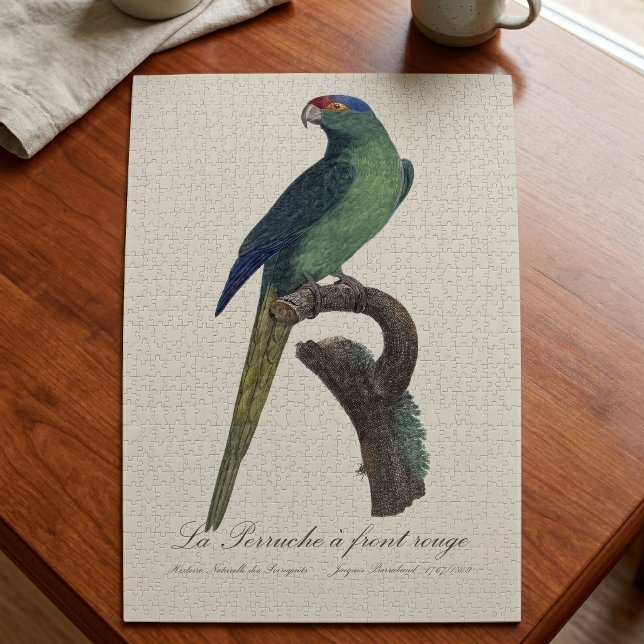 Quebra-cabeça Periquito-fronte-laranja, Eupsittula Canicularis (Orange-Fronted Parakeet, Eupsittula Canicularis. Jigsaw Puzzle)