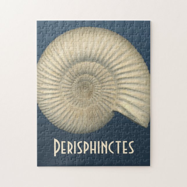 Quebra-cabeça Perisfincas Ammonite (Vertical)