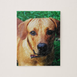 Quebra-cabeça Personalizado de Foto Personalizado 