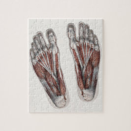 Quebra-cabeça Pés Podiatárias Da Pegada Da Anatomia Humana Vinta