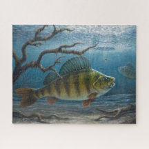 Pesca no Gelo para Perca