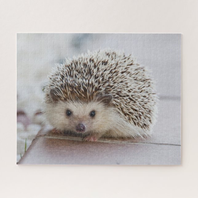Quebra-cabeça Pet Hedgehog (Horizontal)
