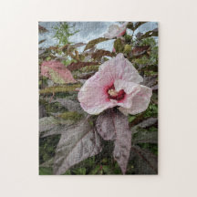 "Pétalas deliciosas" Flor de Hibiscus