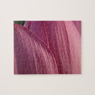 Quebra-cabeça Pétalas Flor de Lótus Rosa Floral
