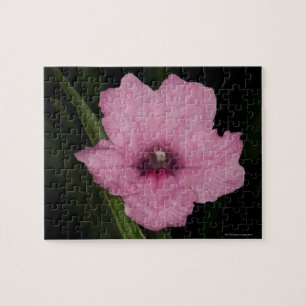 Quebra-cabeça Petúnia mexicano cor-de-rosa (Ruellia Brittoniana