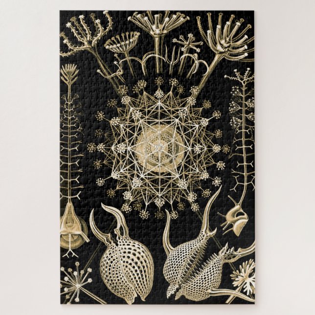 Quebra-cabeça Phaeodaria | 61 Dourado | Ernst Haeckel | (Vertical)