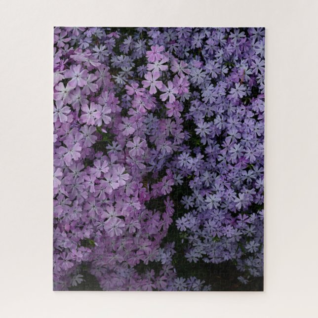 Quebra-cabeça Phlox em Abundância (Vertical)