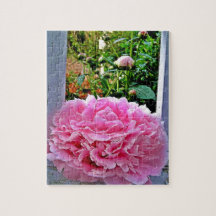 Picles Rustic Pink Peony Garden