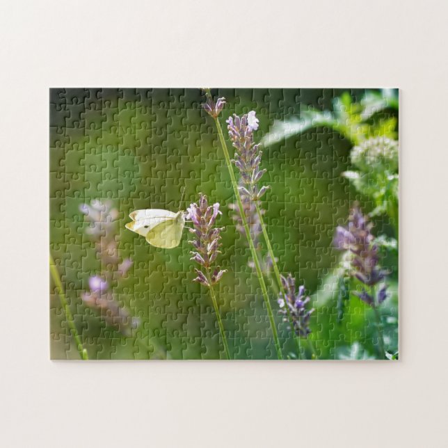 Quebra-cabeça Pieris brassicae (Horizontal)