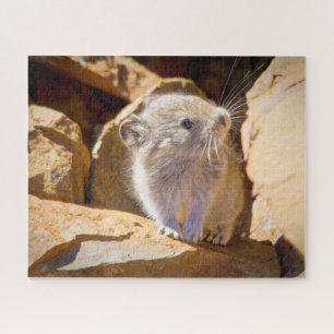 Quebra-cabeça Pika
