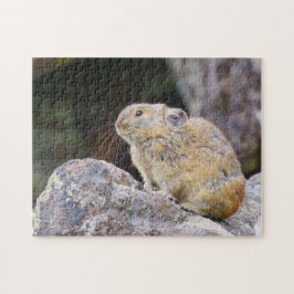 Quebra-cabeça Pika