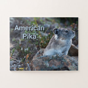 Quebra-cabeça Pika Americano Escondido em Rochas