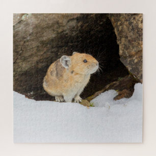 Quebra-cabeça Pika na neve