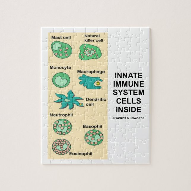 Quebra-cabeça Pilhas de sistema imunitário inatas dentro da (Vertical)