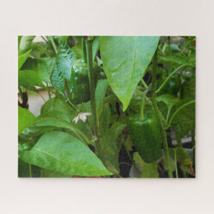 Quebra-cabeça Pimentos verdes
