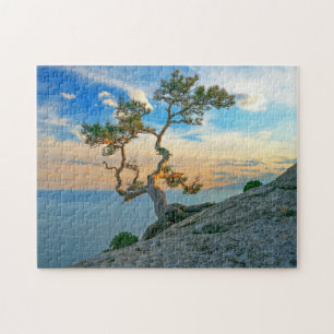 Quebra-cabeça Pine Tree On Rocks Nature Landscape Ocean Sunset