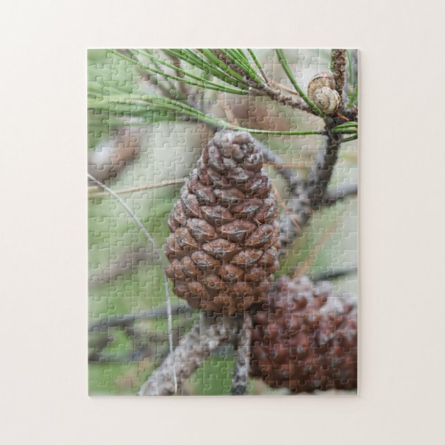 Quebra-cabeça Pinecones (Vertical)