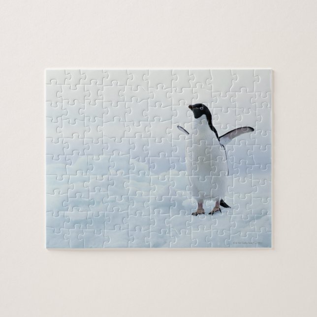Quebra-cabeça Pinguim adéguo, Antártica (Horizontal)