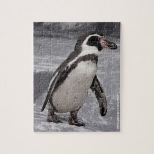 Quebra-cabeça Pinguim Andando Puzzle