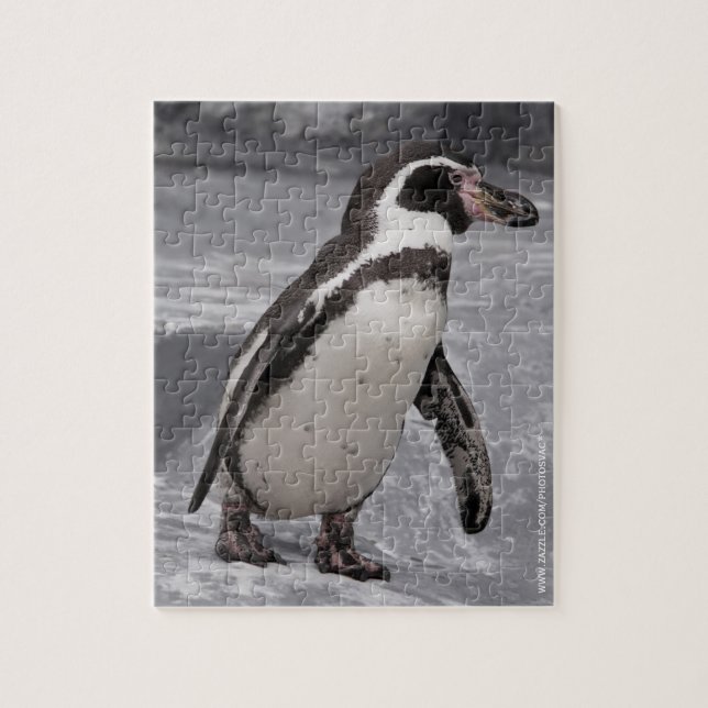 Quebra-cabeça Pinguim Andando Puzzle (Vertical)