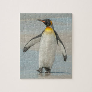 Quebra-cabeça Pinguim caminhando na praia
