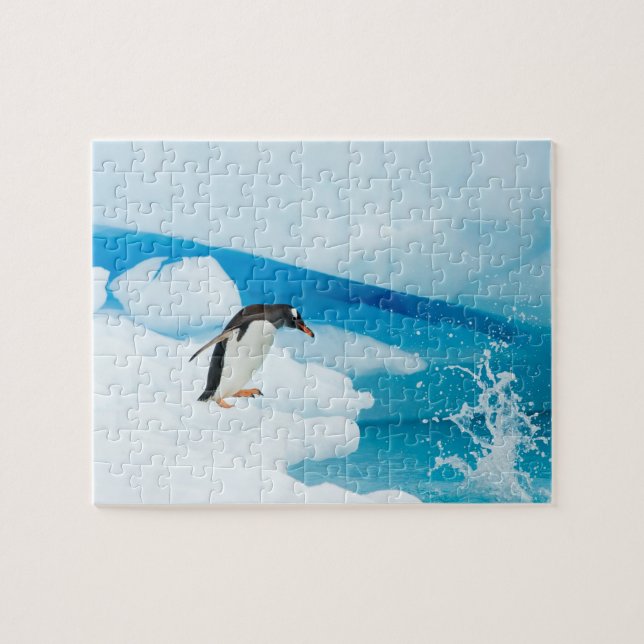 Quebra-cabeça pinguim-de-gentoo, Pygoscelis Papua, saltando (Horizontal)