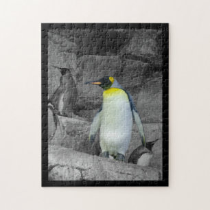 Quebra-cabeça Pinguim de imperador