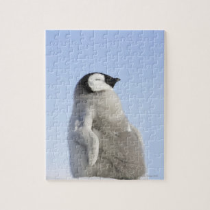 Quebra-cabeça Pinguim de imperador do bebê, ilha do monte da