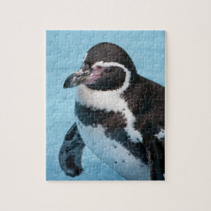 Quebra-cabeça Pinguim-de-magalhães  Puzzle