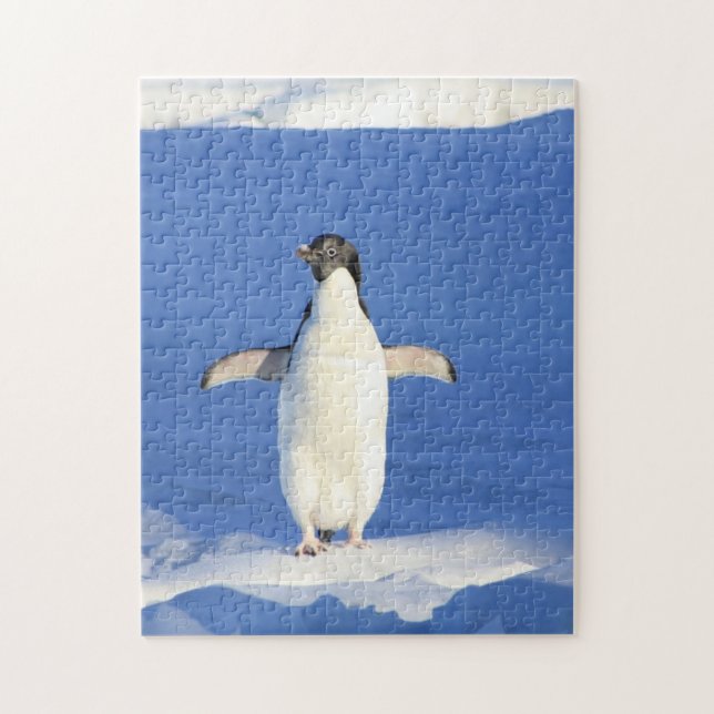 Quebra-cabeça Pinguim engraçado no gelo (Vertical)