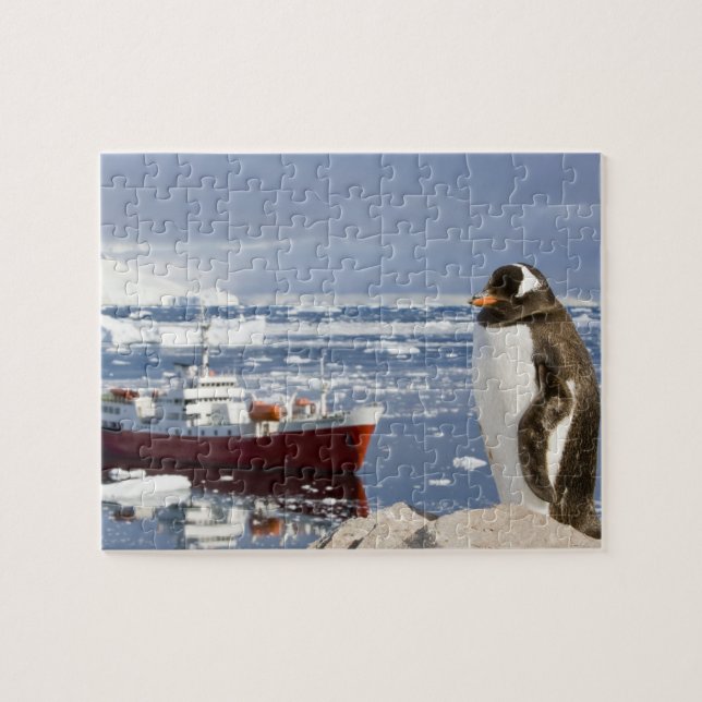 Quebra-cabeça Pinguim-gentoo (Horizontal)