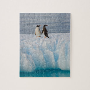 Quebra-cabeça pingüim-gentoo, Pygoscelis Papua, no gelo glacial