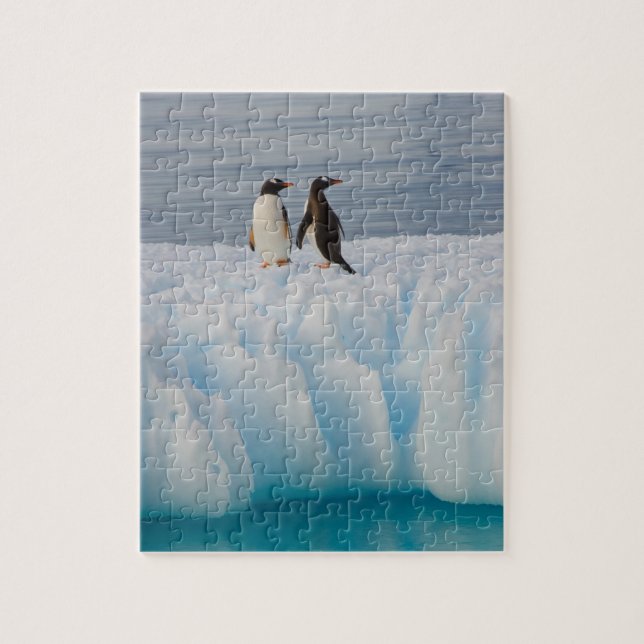 Quebra-cabeça pingüim-gentoo, Pygoscelis Papua, no gelo glacial (Vertical)