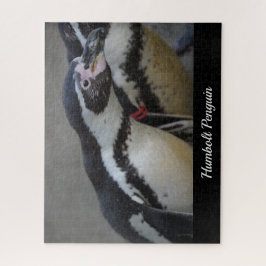 Quebra-cabeça Pinguim Humbolt no Zoo Drusillas em East Sussex