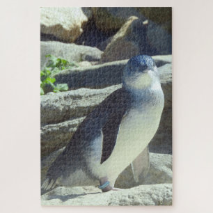 Quebra-cabeça Pinguim pequeno