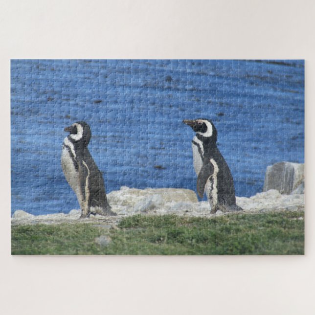 Quebra-cabeça pinguins (Horizontal)