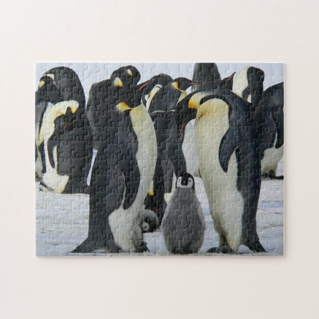 Quebra-cabeça Pinguins (Horizontal)