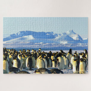 Quebra-cabeça Pinguins