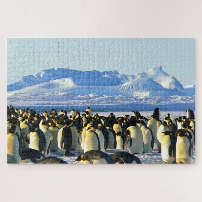Quebra-cabeça Pinguins (Horizontal)