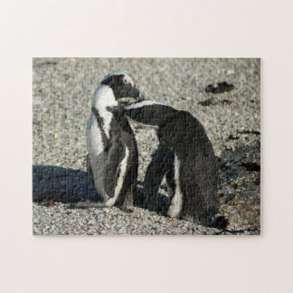 Quebra-cabeça Pinguins africanos que preparam-se