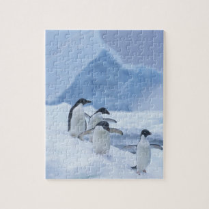 Quebra-cabeça Pinguins-de-adélia (Pygoscelis adeliae) no gelo,